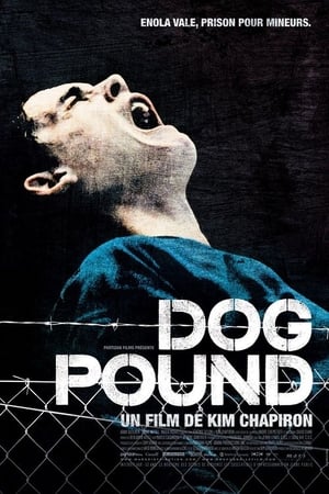 Dog Pound