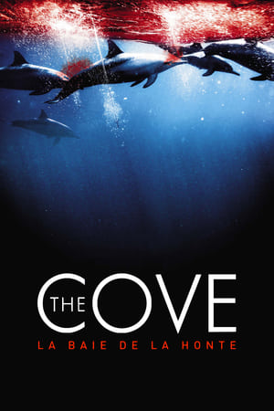 The Cove : La baie de la honte